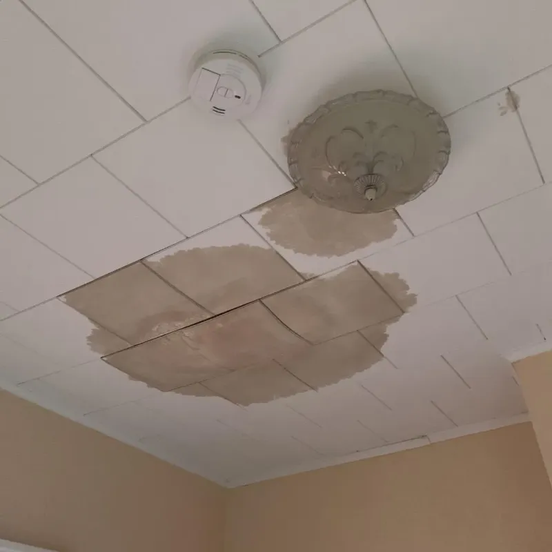 Ceiling Water Damage Repair in New Martinsville, WV