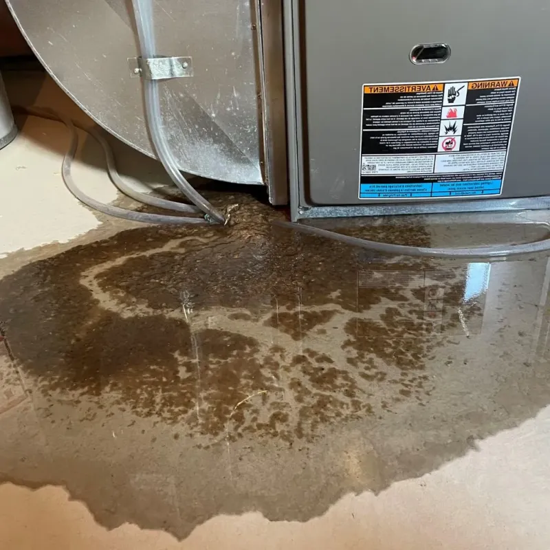 Pipe Burst and Leak Restoration in New Martinsville, WV