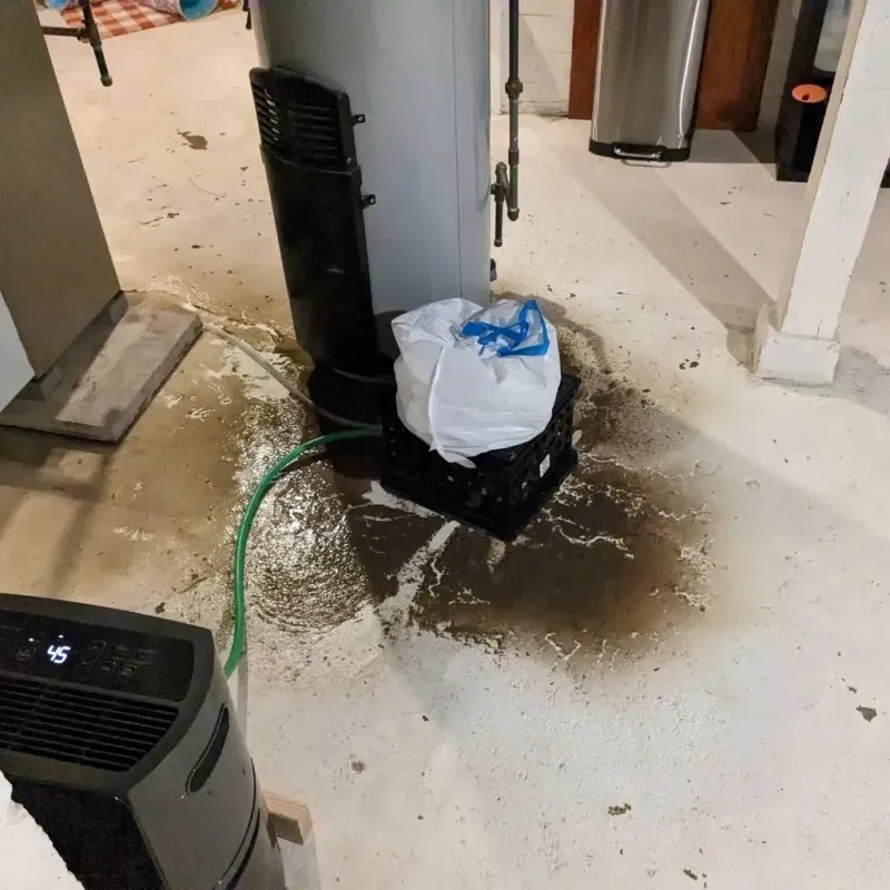 Sewage Backup Cleanup Service in New Martinsville, WV